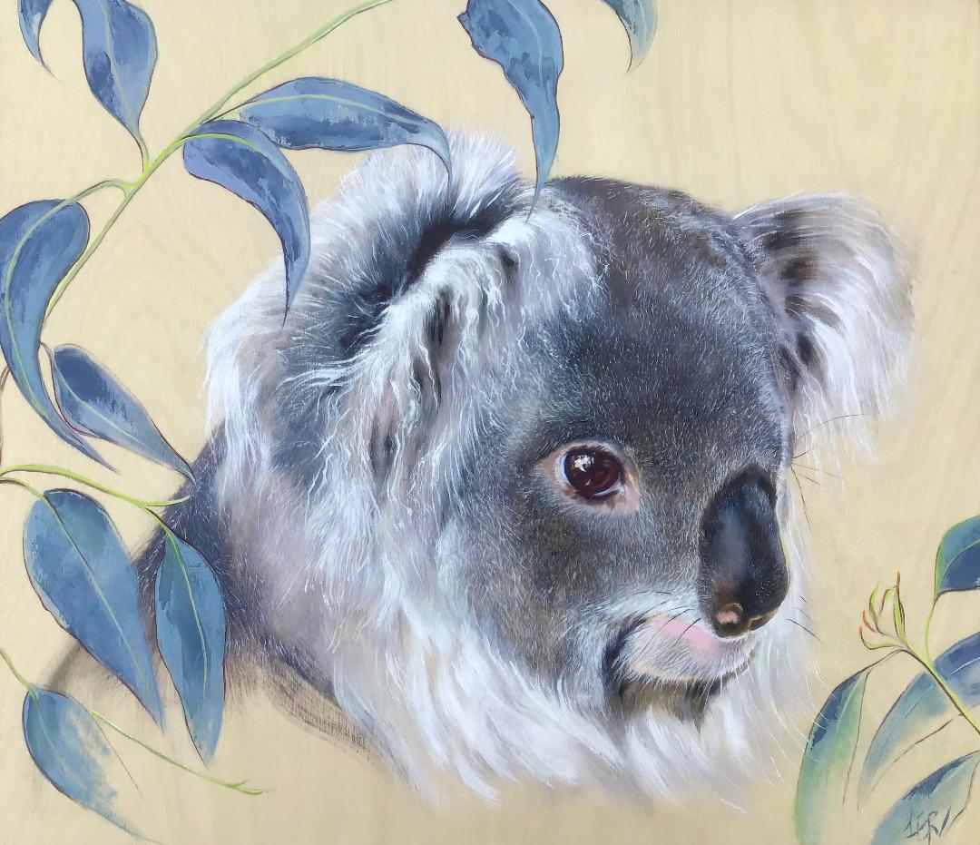 Koala Art Print – Berkley Illustration